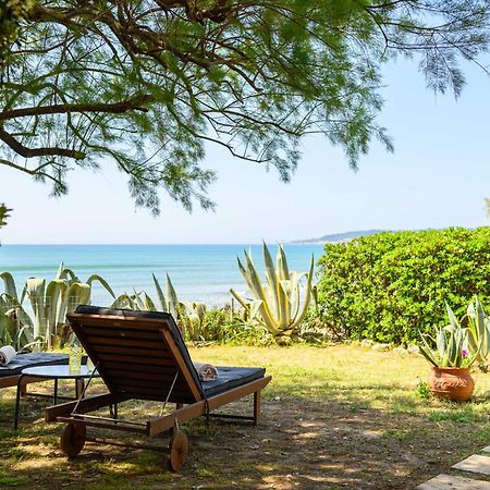 Salty Noses Beach House Paradise Perfect For Families Pyrgos  Exterior photo